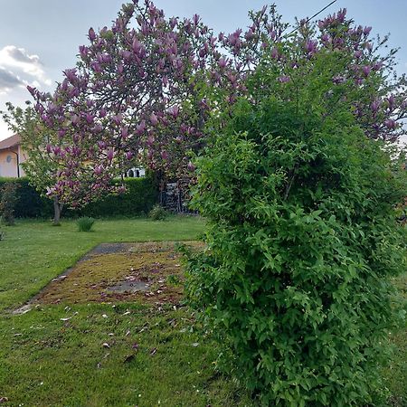 A House, Free Parking, Sauna Koprivnica Extérieur photo